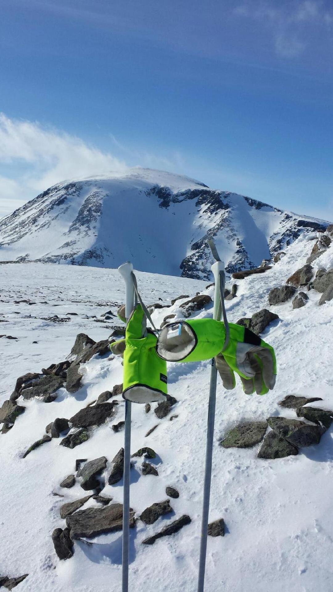 Bessheim Fjellstue og Hytter Eksteriør bilde