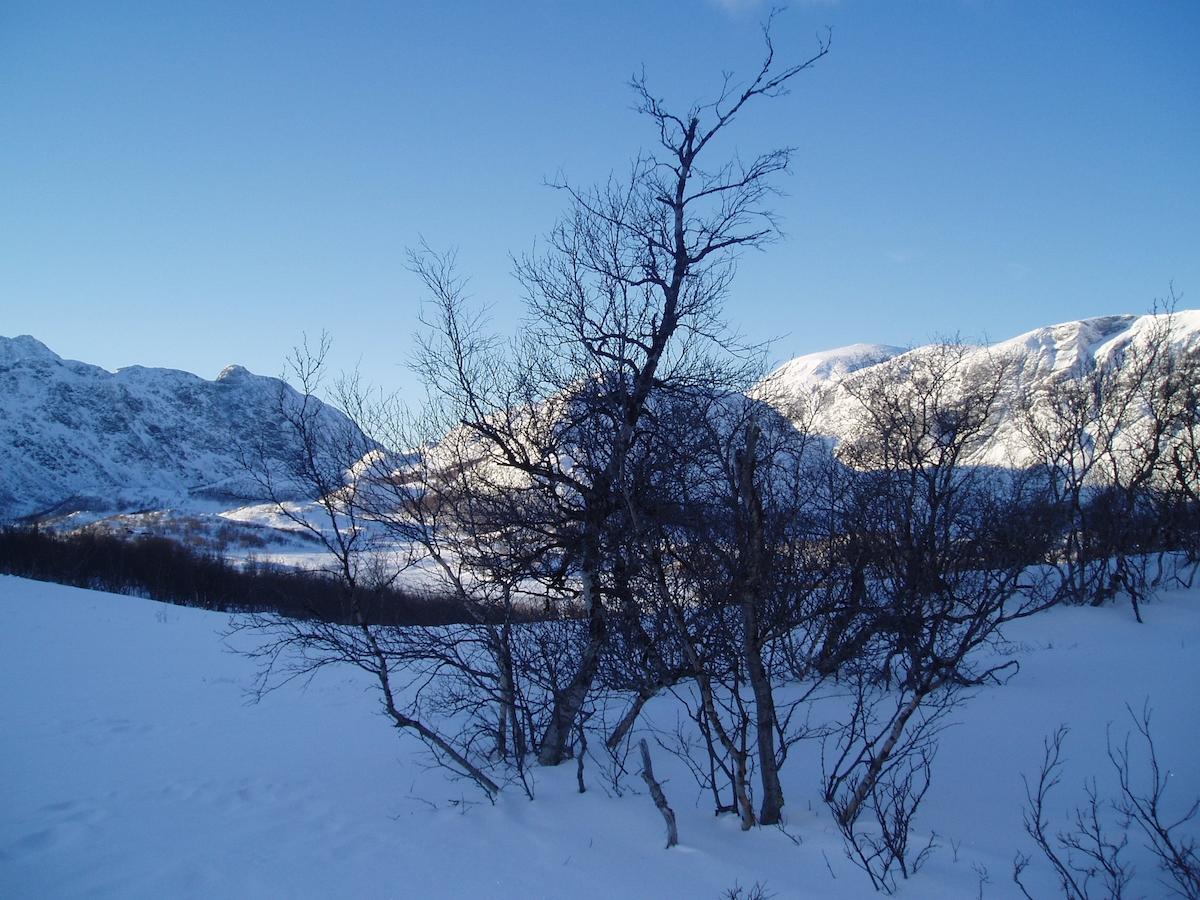 Bessheim Fjellstue og Hytter Eksteriør bilde